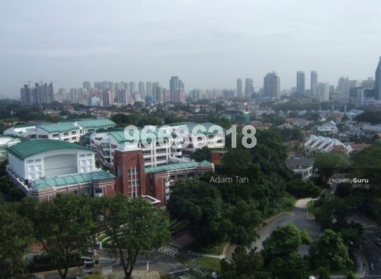 Balmoral Gate (D10), Condominium #157740602